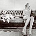 Emerging band photo Rosso Dalmata