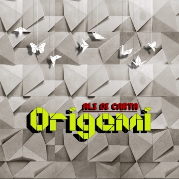 Foto utente  ORIGAMI