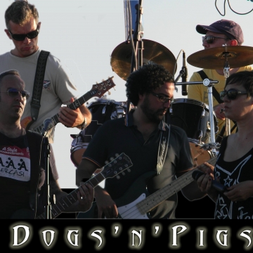 Foto N 1 - Dogs'n'Pigs