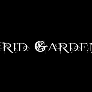 Foto band emergente Arid Garden