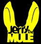 Foto band emergente Jerry The Mule