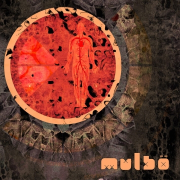 Foto produzione Mulb