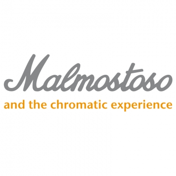 Foto band emergente Malmostoso & The Chromatic Experience