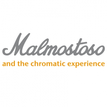 Foto band emergente Malmostoso & the Chromatic Experience