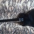 Foto Chitarra Elettrica Anni 70 Satellite 95/I