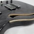 Foto Chitarra Elettrica Panico Guitars S Series S158