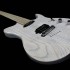 Foto Chitarra Elettrica Panico Guitars T Series T535