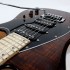 Foto Chitarra Elettrica Panico Guitars V Series V246T