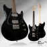 Foto Chitarra Elettrica Panico Guitars V Series V575