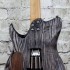 Foto Chitarra Elettrica Panico Guitars T Series T555T