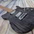 Foto Chitarra Elettrica Panico Guitars T Series T555T