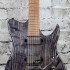 Foto Chitarra Elettrica Panico Guitars T Series T555T