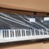 Foto Korg Pa5X, Korg Pa4X, Korg Pa4X MG2 Edition, Korg Pa1000 MG Edition, Korg Pa1000 Tastiera Arrangiatr