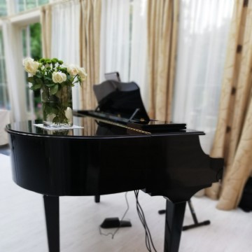 Pianista Venezia