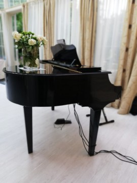 FOTO Pianista Venezia