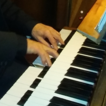 Foto band emergente Organista Venezia