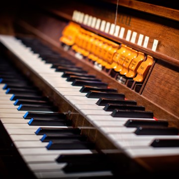 Organista Modena