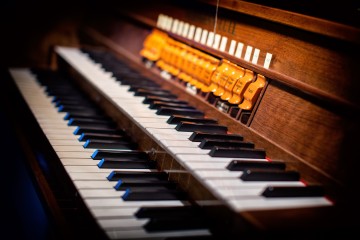 FOTO Organista Modena