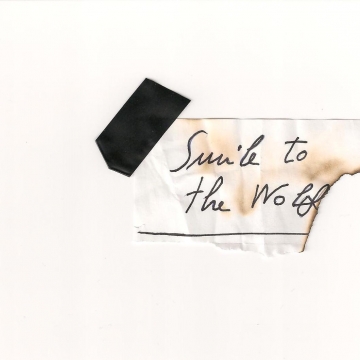Foto band emergente Smile To The Wolf