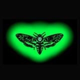 Foto band emergente Moth's Circle Flight