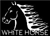 Foto etichetta discografica White Horse Network